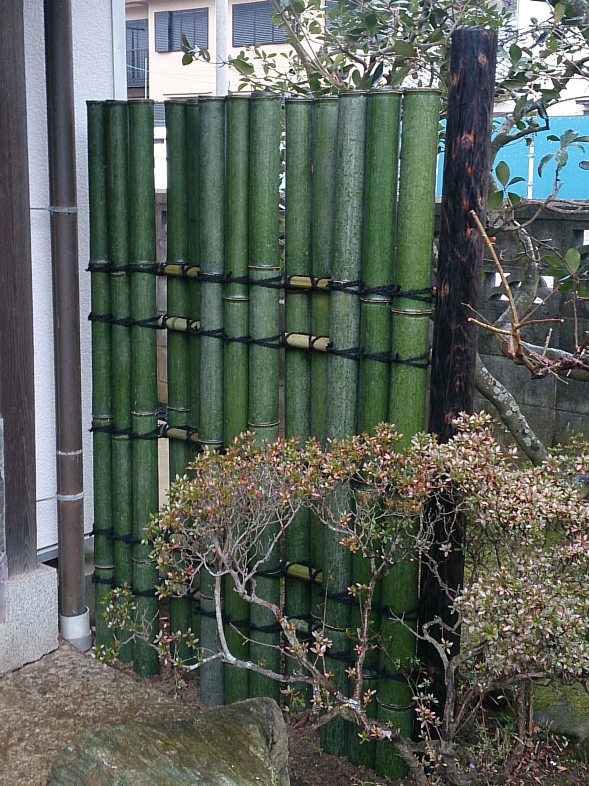 袖垣 鉄砲垣 更新