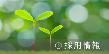 採用情報