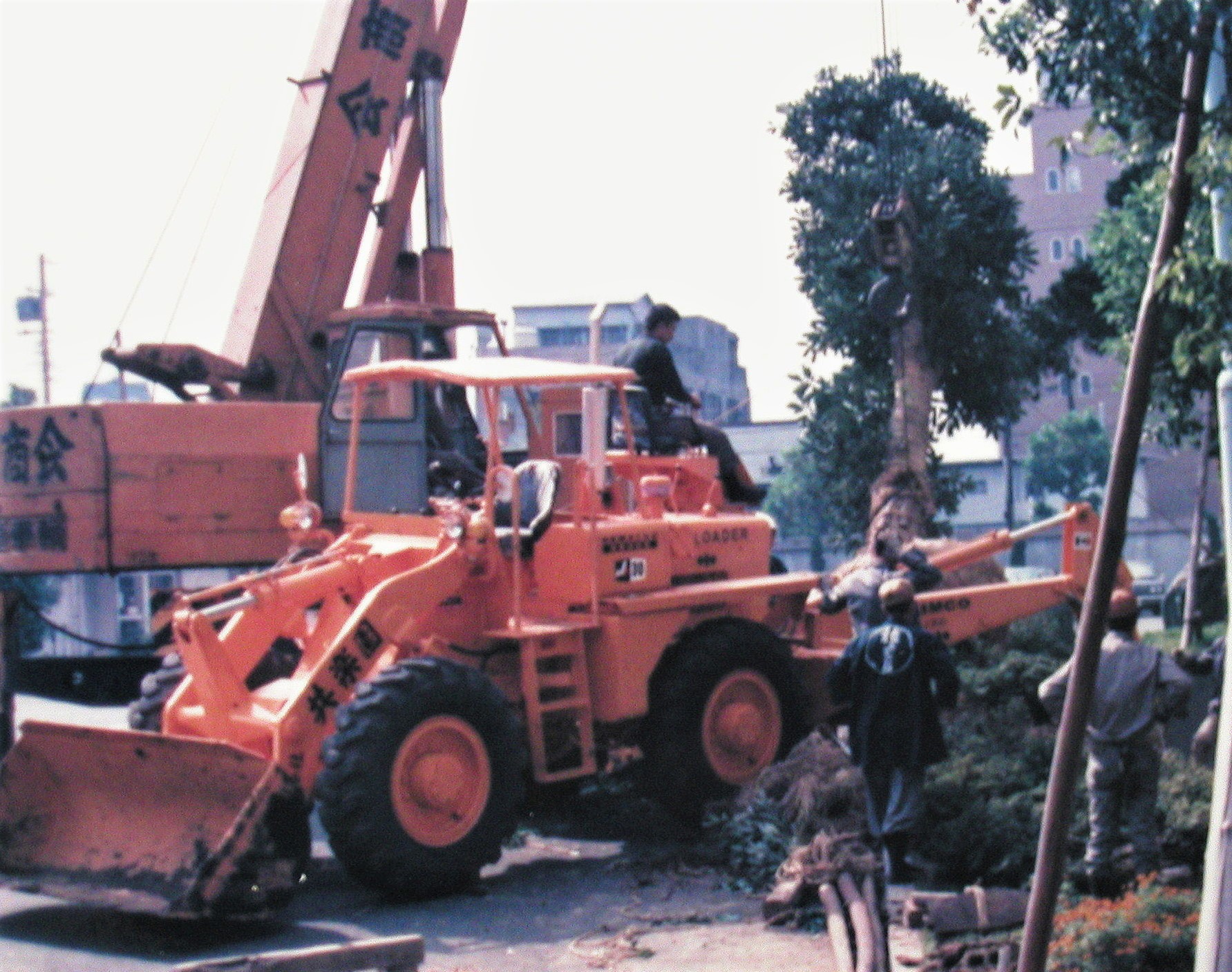 昭和47年頃の東京都内植栽風景